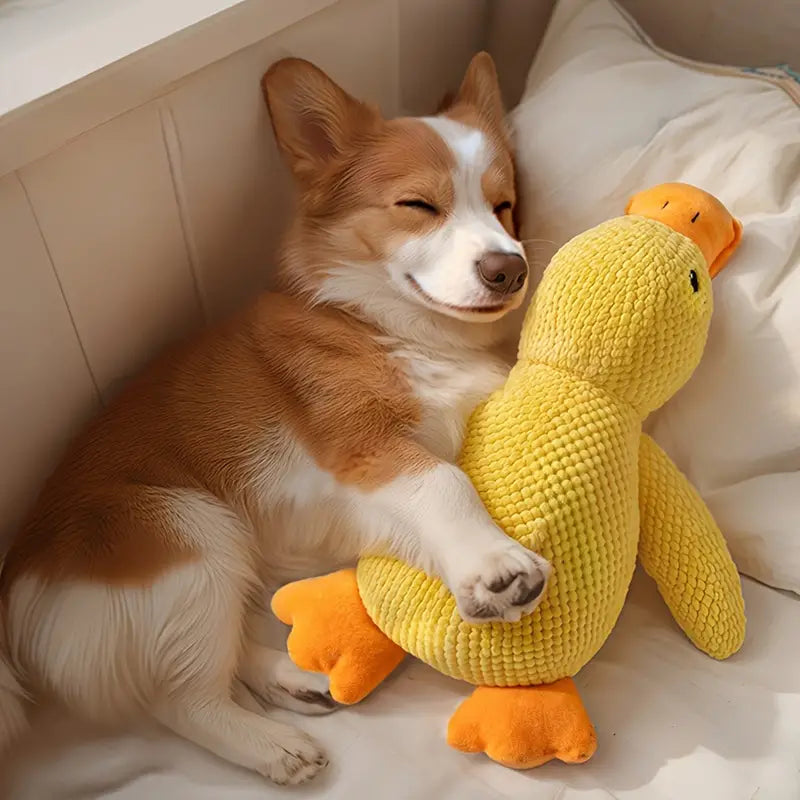 DuckyDazzle | Der perfekte Begleiter gegen Langeweile und Stress