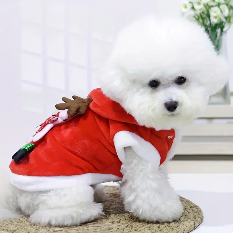 Elfie | Geben Sie Ihrem Haustier einen warmen Winter und festliche Tage