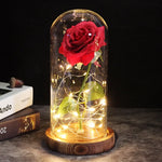 Ewige Rose mit Licht | Ein Unvergängliches Geschenk der Wärme und Liebe