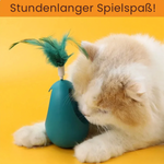 Interactive Catnip Toy for Healthy Activity