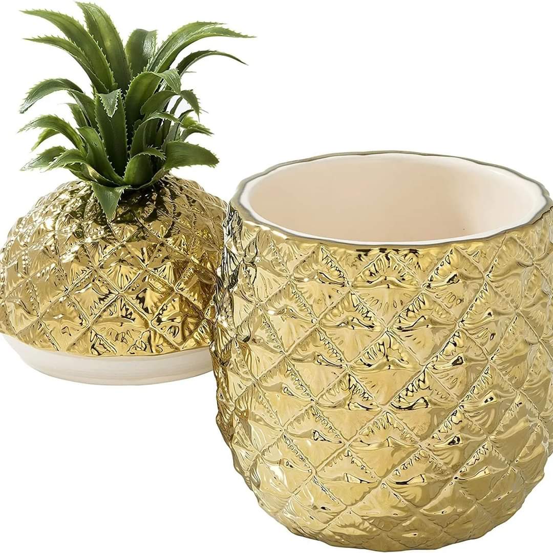 Pineapple Motif Storage Set with Style