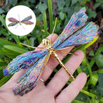 Dragonfly in Tourmaline and Kyanite