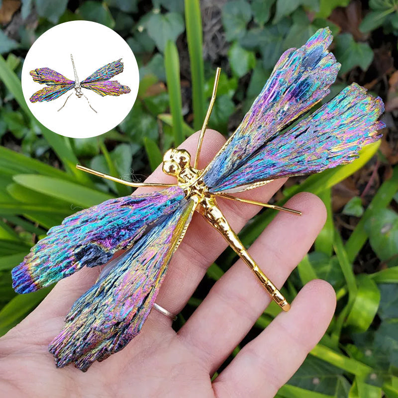 Dragonfly in Tourmaline and Kyanite