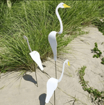 Flamingoz | Lebhafter Vogel