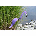 Flamingoz | Lebhafter Vogel