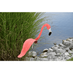 Flamingoz | Lebhafter Vogel