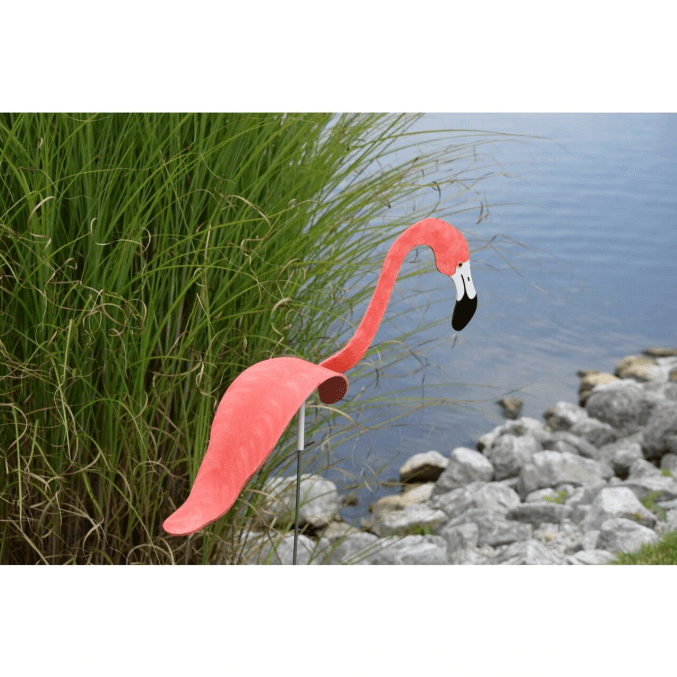 Flamingoz | Lebhafter Vogel