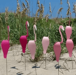 Flamingoz | Lebhafter Vogel