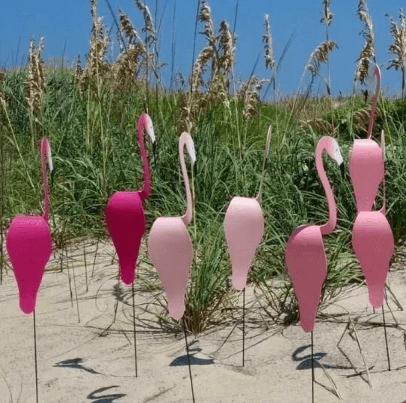 Flamingoz | Lebhafter Vogel
