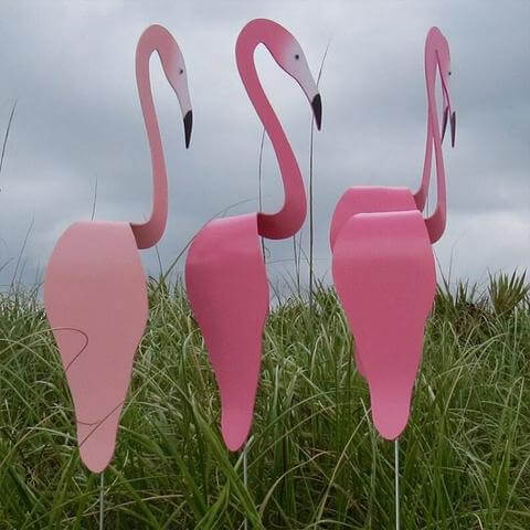 Flamingoz | Lebhafter Vogel