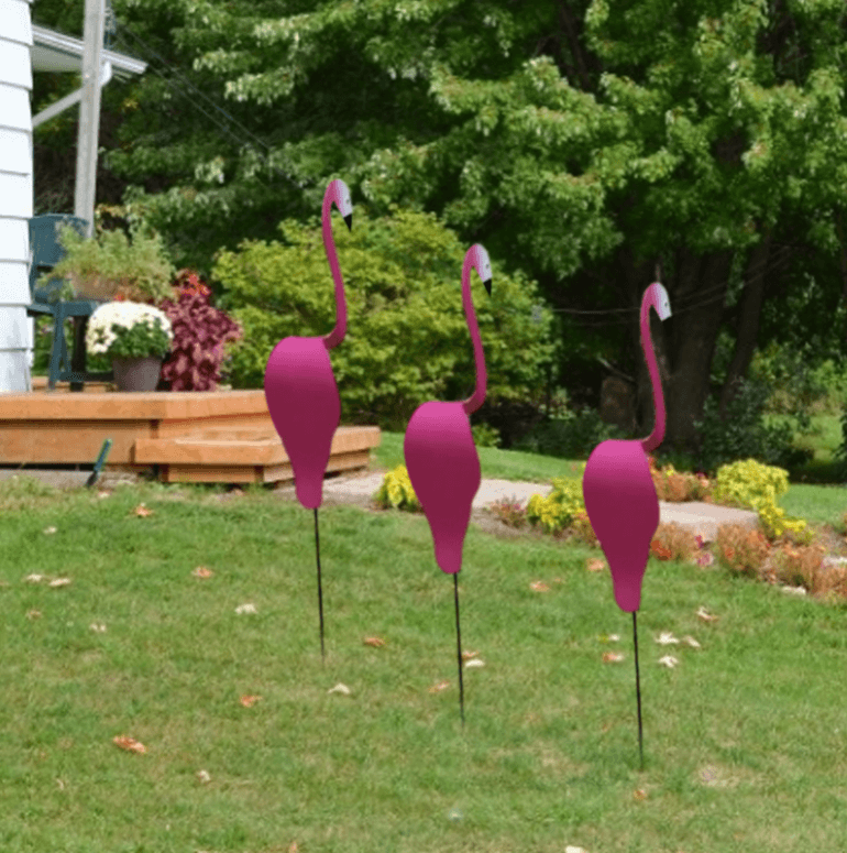 Flamingoz | Lebhafter Vogel