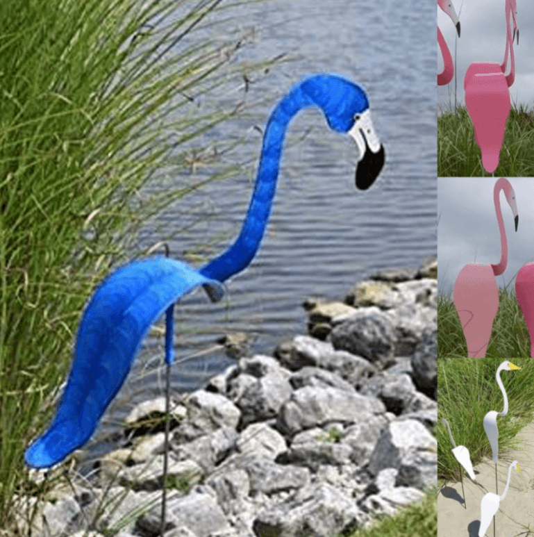 Flamingoz | Lebhafter Vogel