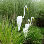 Flamingoz | Lebhafter Vogel