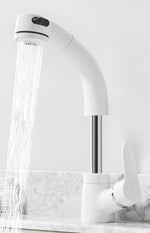 Elegante Ausziehbare Badarmatur für Modernes Design
