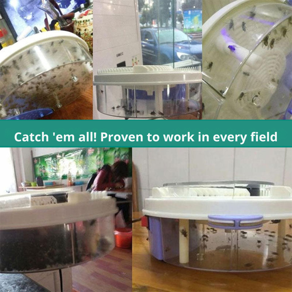 Insect protection | Odorless trap for flies and more