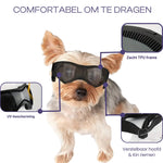 FurrVision | UV- und Windschutz für Hunde