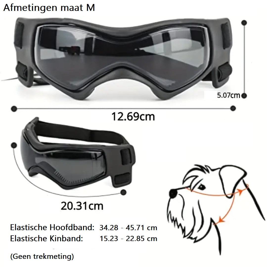 FurrVision | UV- und Windschutz für Hunde