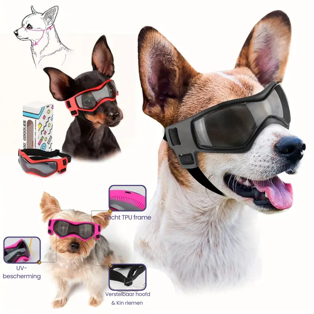 FurrVision | UV- und Windschutz für Hunde