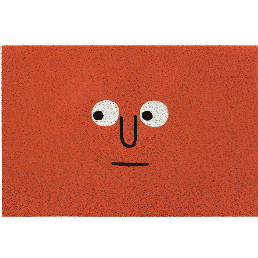 Entrance Mat | Non-slip for secure grip | Absorbs dirt and moisture