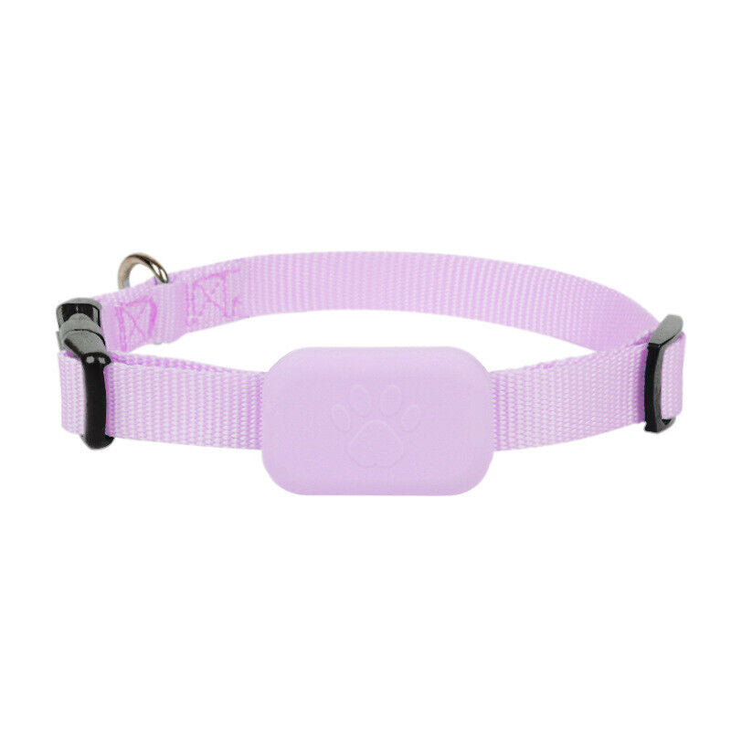 GPS-Ortung für Hunde und Katzen - GPS-Halsband für Ihr Haustier