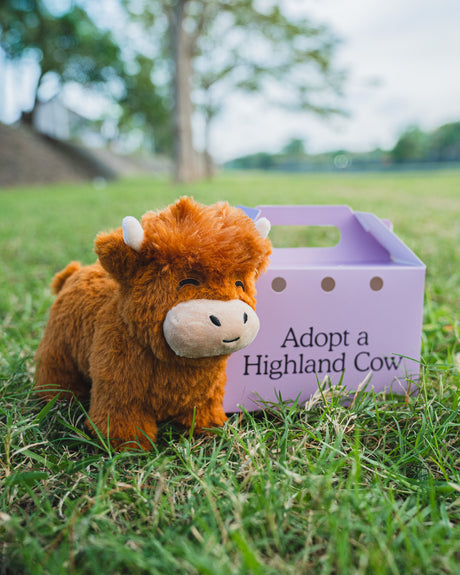 Cuddly Highland Cow Plush Toy - An Ideal Gift