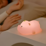 Charming rechargeable LED night light for any room