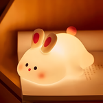 Charming rechargeable LED night light for any room