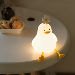 Charming rechargeable LED night light for any room