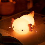 Charming rechargeable LED night light for any room