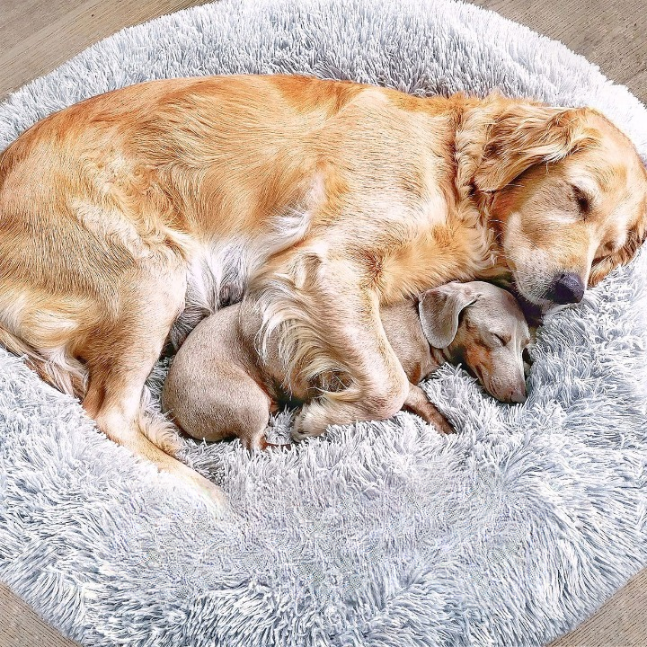 FluffyNest Comfort Dog Bed – Orthopedic Plush Sleeping Pillow for Dogs