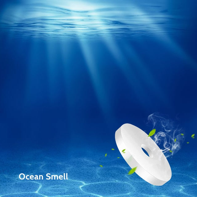 Air Purifier Bear Pilot | Fresh & Stylish