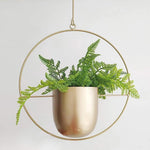 Hanging Metal Planter with Chain – Oval or Round Frame