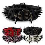 Stud Collar for Large Dogs
