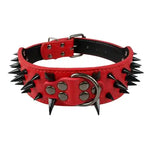 Stud Collar for Large Dogs