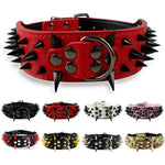 Stud Collar for Large Dogs