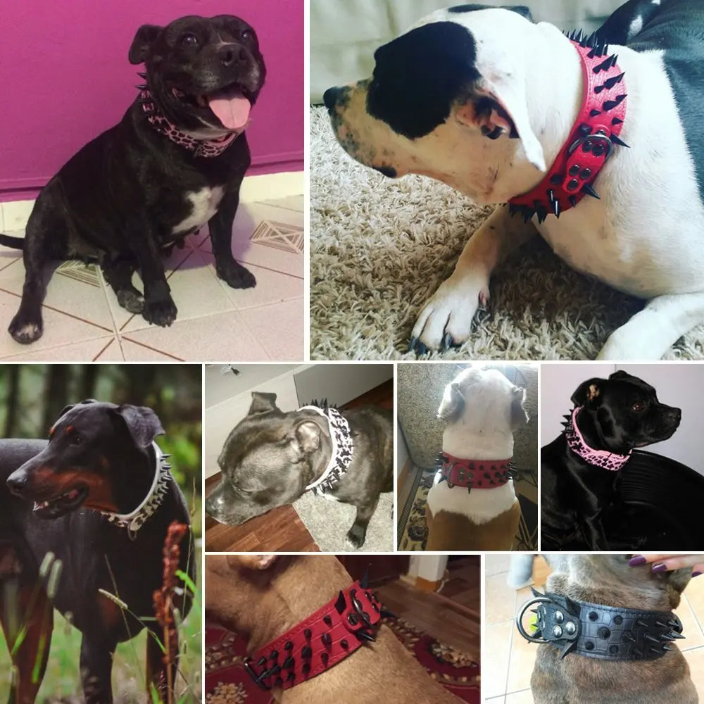 Stud Collar for Large Dogs