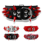 Stud Collar for Large Dogs