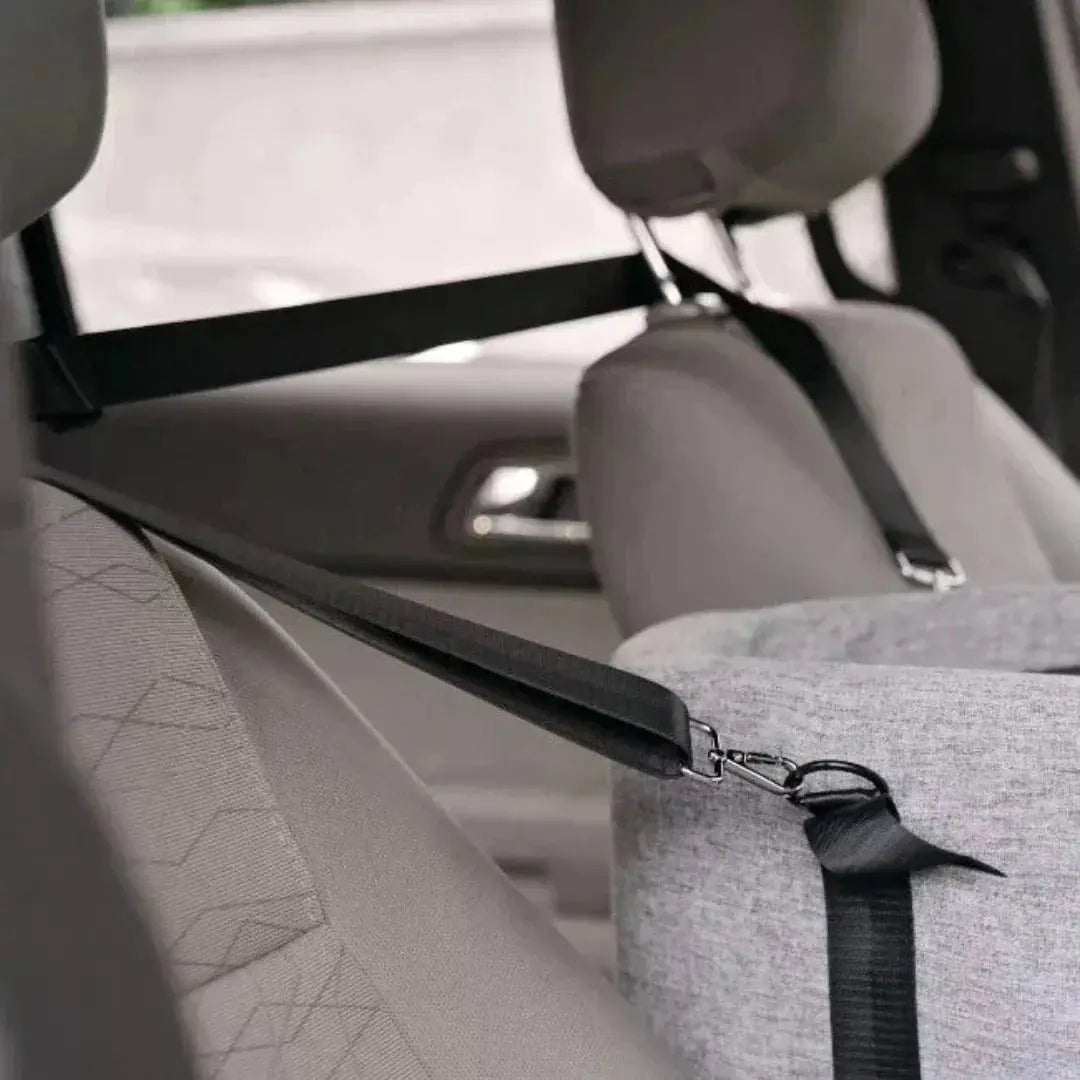 Dog Car Seat | Elevated Car Seat | Secure Attachment with Straps | PetSafe