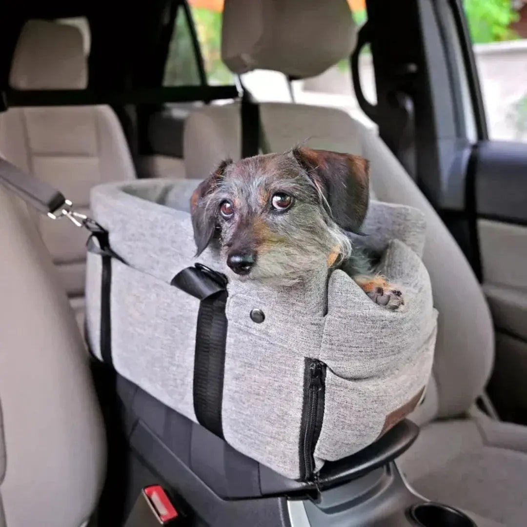 Dog Car Seat | Elevated Car Seat | Secure Attachment with Straps | PetSafe
