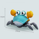 Dancing Crab Toy