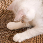 Round Cat Lounger and Scratcher for Satisfaction and Fun