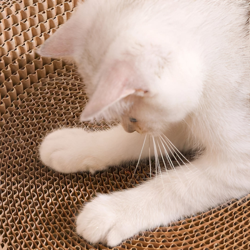 Round Cat Lounger and Scratcher for Satisfaction and Fun