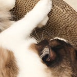 Round Cat Lounger and Scratcher for Satisfaction and Fun