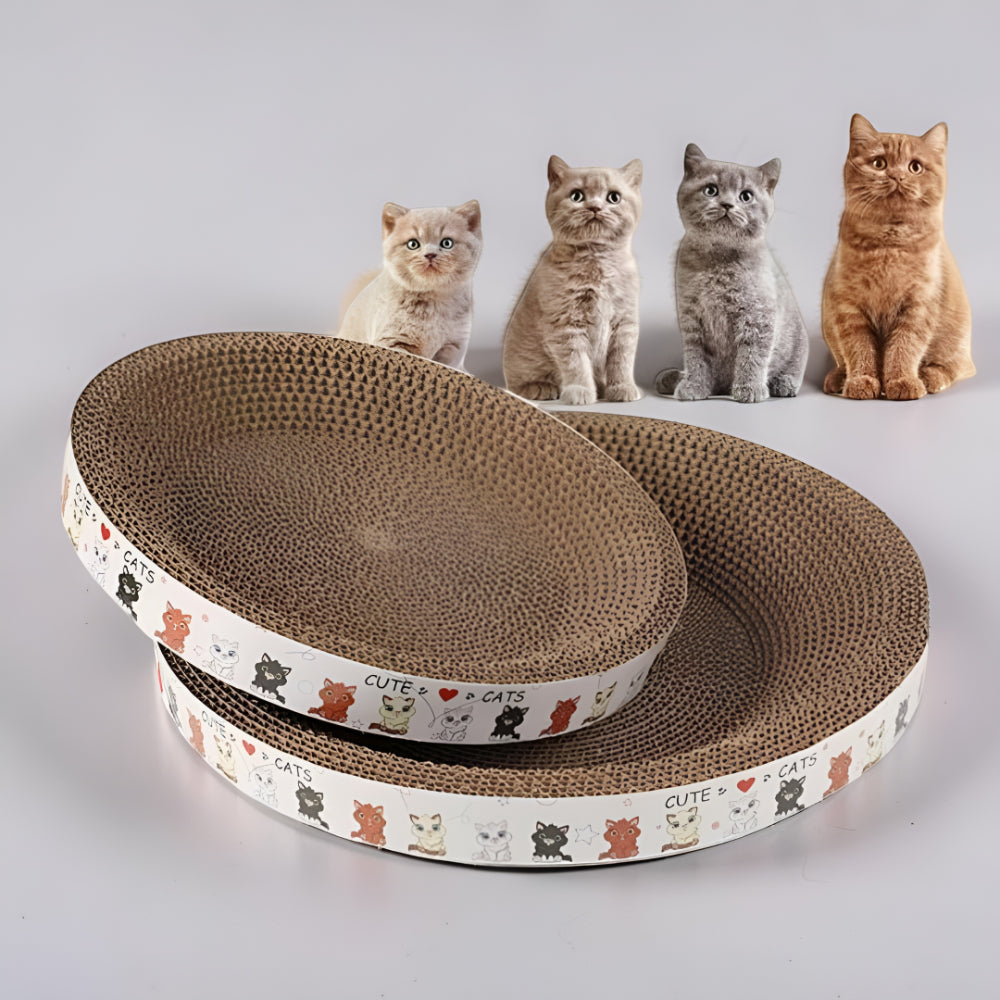 Round Cat Lounger and Scratcher for Satisfaction and Fun