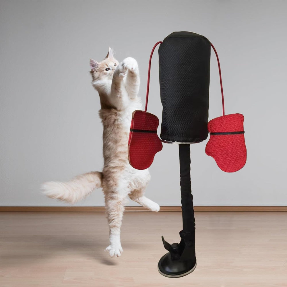 Interactive Cat Toy with Suction Cup for Active Play