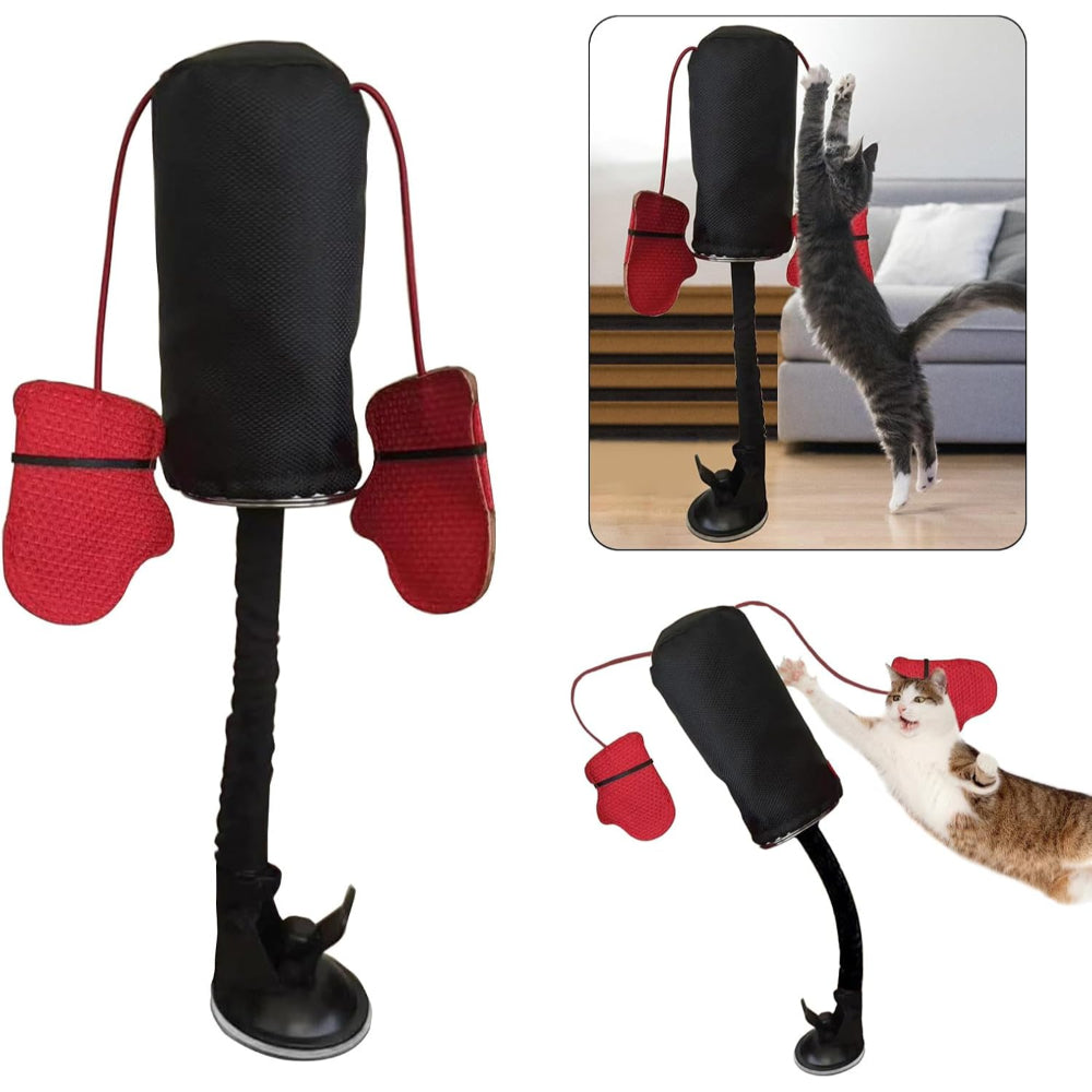 Interactive Cat Toy with Suction Cup for Active Play