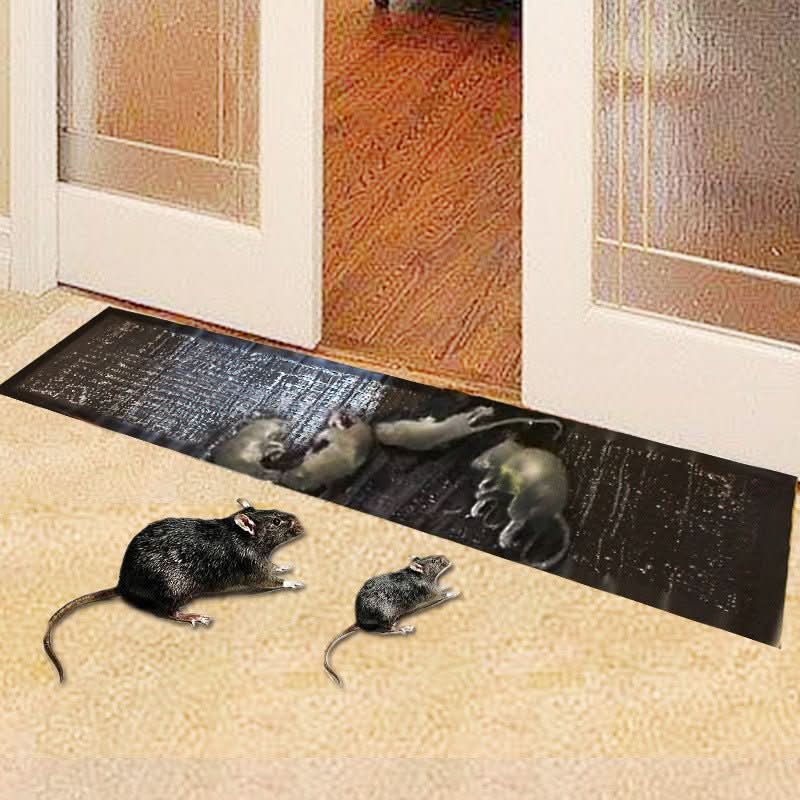 Effective Glue Traps | Non-toxic Pest Control | Large Surface Area