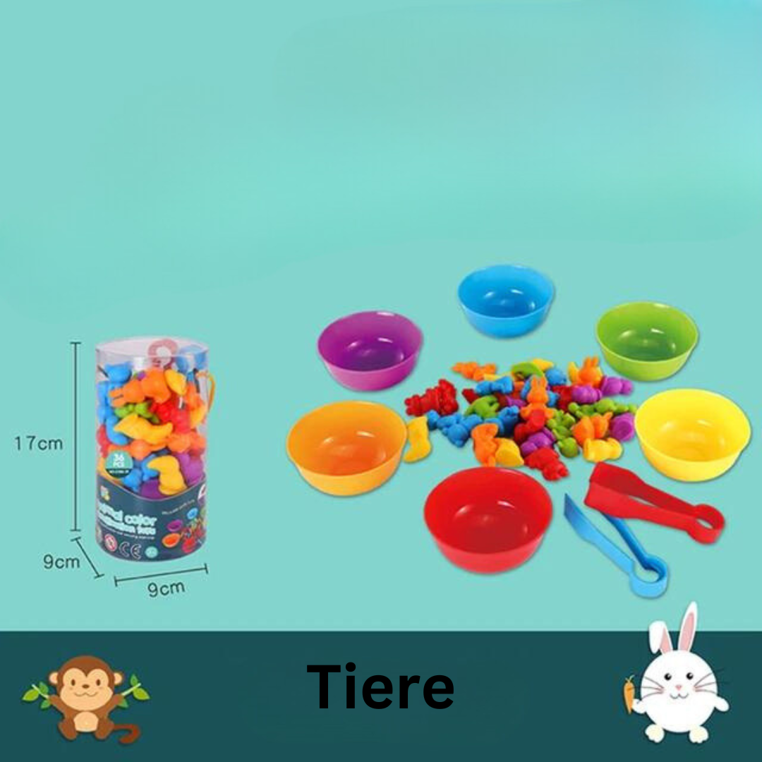 Colorful Sorting Game Based on Montessori Principles