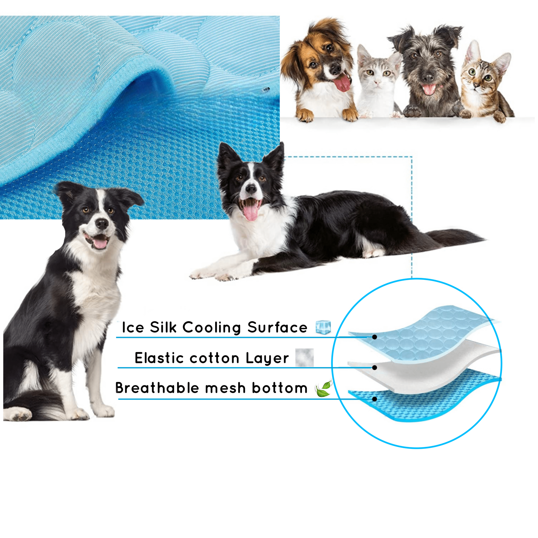 Cooling Mat for Dogs and Cats – Comfortable Self-Cooling Mat for Pets