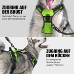 Secure LED Dog Harness | Adjustable Fit | Durable Material